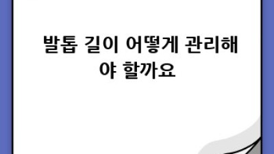 댕댕이 발바닥 건강, 제대로 챙겨주기🐶🐾