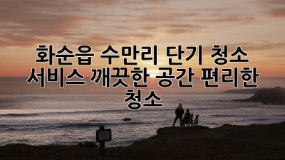 화순읍 수만리 단기 청소 서비스: 깨끗한 공간, 편리한 청소